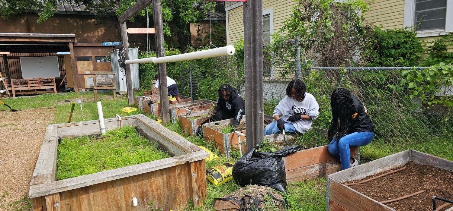 Volunteers tending raised garden beds in a community garden