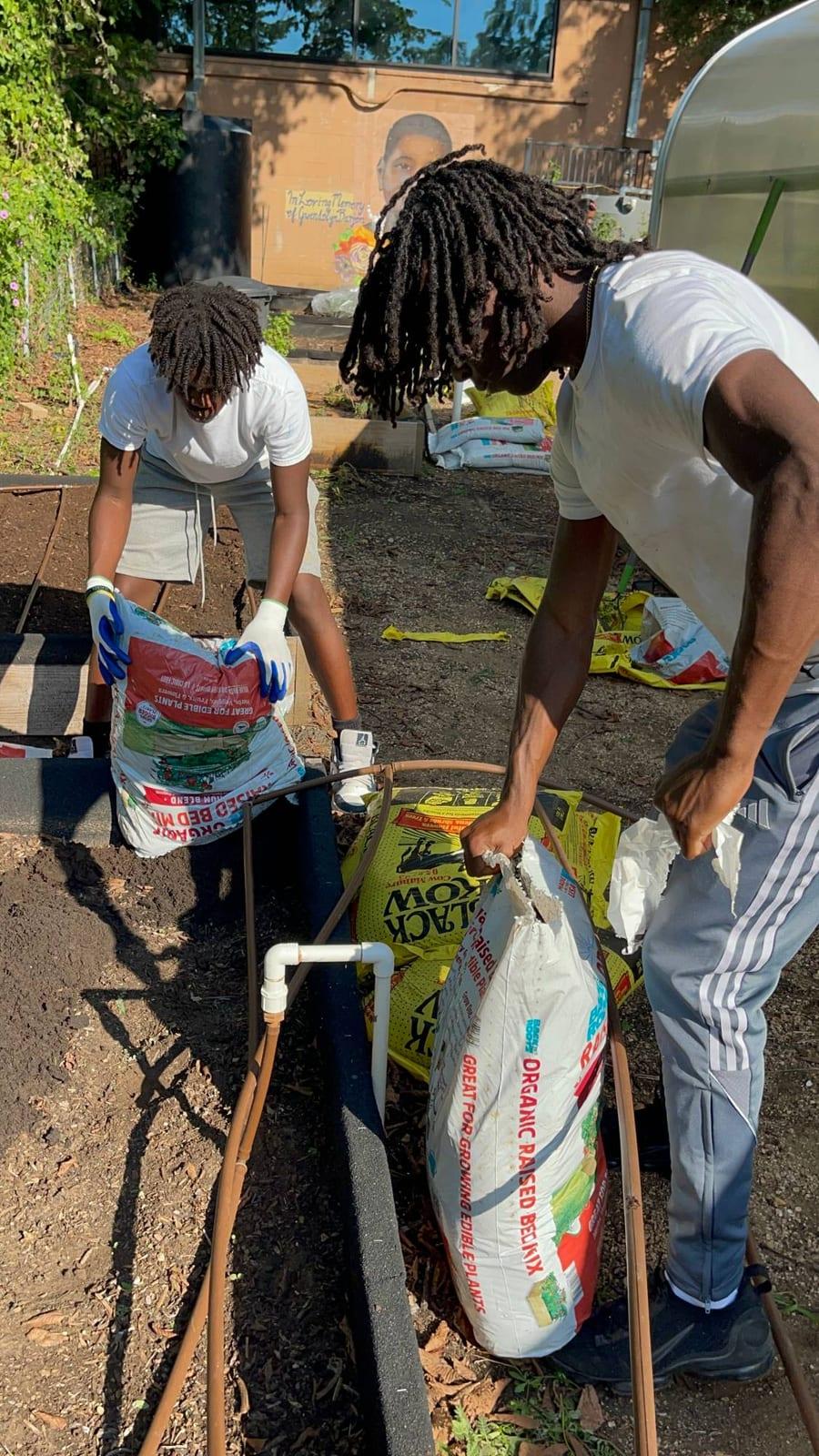 Two young volunteers in white T-shirts filling raised garden beds with bags of organic soil